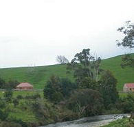 Tin Dragon Trail Cottages - Great Ocean Road Tourism