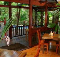 Daintree Wilderness Lodge - Great Ocean Road Tourism