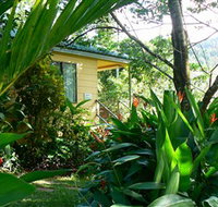 Daintree Valley Haven - Great Ocean Road Tourism