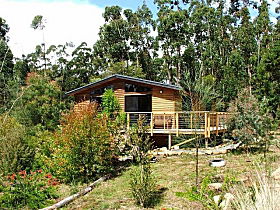 Southern Forest Accommodation - Great Ocean Road Tourism 0