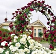 Golden Embers Apartments and B and B - Great Ocean Road Tourism