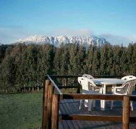 White Hawk Accommodation - Great Ocean Road Tourism