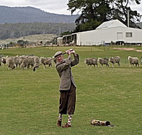 Park House Accommodation - Great Ocean Road Tourism