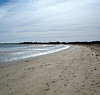 Greens Beach Caravan Park - Great Ocean Road Tourism