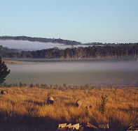 Fonthill - Great Ocean Road Tourism
