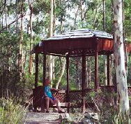 Telopea - Great Ocean Road Tourism