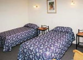 Mt Lyell Motor Inn - Great Ocean Road Tourism 0
