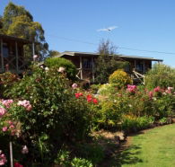 Mole Creek Holiday Village - Great Ocean Road Tourism