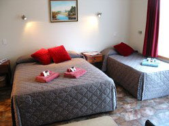 Telopea - Great Ocean Road Tourism 1