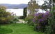 Rocking Horse Cottage - thumb 4