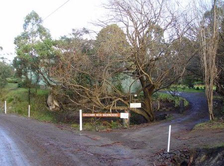 Eaglehawk Neck Backpackers - Great Ocean Road Tourism 1