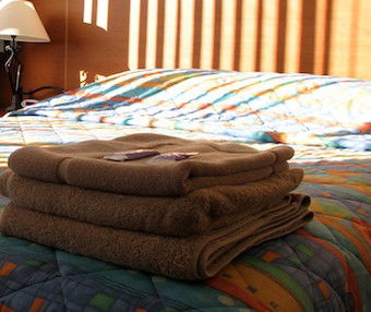 Mt Lyell Motor Inn - Great Ocean Road Tourism 3