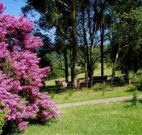 Figlea Cottages - Great Ocean Road Tourism