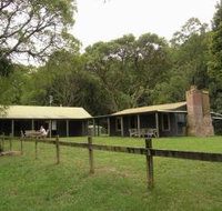 Tree Fern Lodge