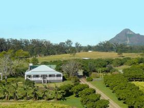 Crohamhurst QLD Great Ocean Road Tourism