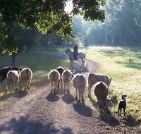 Brooloo Park - Great Ocean Road Tourism