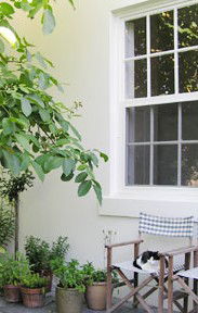 Camellia Cottage Bed & Breakfast - Great Ocean Road Tourism 2