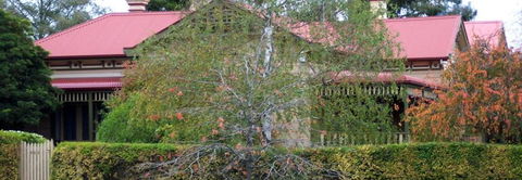 Silver Birch Bed & Breakfast - Great Ocean Road Tourism 4