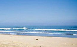 Berry Orchard - Great Ocean Road Tourism 2