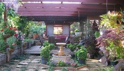 Blossoms Bed And Breakfast - Great Ocean Road Tourism 0