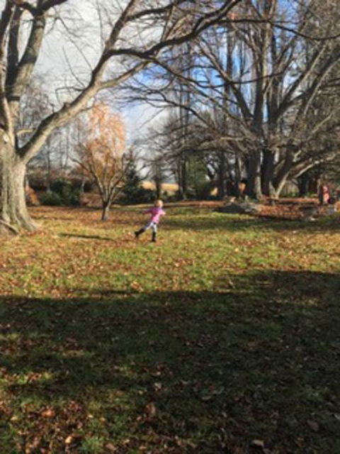 Glenelm Guest Cottage - Great Ocean Road Tourism 2