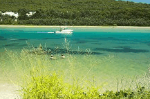 Wooli Camping and Caravan Park - Great Ocean Road Tourism