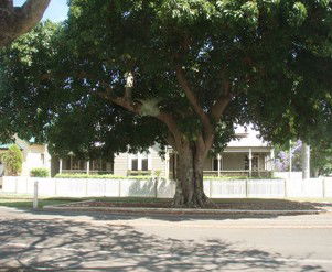 Annies Bed And Breakfast Grafton - Great Ocean Road Tourism 3