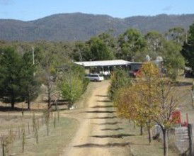 Snowy Vineyard Cottage - Great Ocean Road Tourism 2