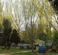 Snowy River Holiday Park - Great Ocean Road Tourism