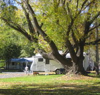 Tumbarumba Creek Caravan Park - Great Ocean Road Tourism