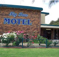 Fig Tree Motel - Great Ocean Road Tourism