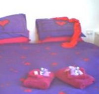 Aloomba Lavender - Accommodation - Great Ocean Road Tourism