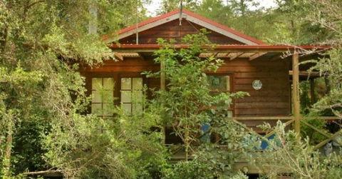 Bluegums Cabins - Great Ocean Road Tourism 2