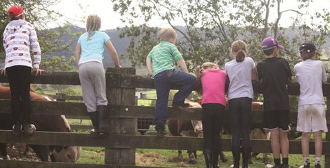 Ashmar Farm Stay - Great Ocean Road Tourism 4