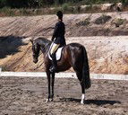Apptrak Stud - Great Ocean Road Tourism 0