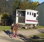 Apptrak Stud - Great Ocean Road Tourism 1