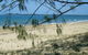 Seawinds Caravan Park - thumb 1