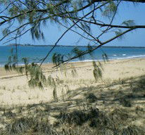 Seawinds Caravan Park - Great Ocean Road Tourism 1