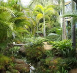 Chamomile Bed and Breakfast - Great Ocean Road Tourism