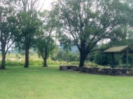Sharp Park River Bend Country Bush Camping - Great Ocean Road Tourism 1