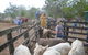 Lee Farmstay - thumb 7
