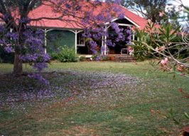 Minmore Farmstay Bed And Breakfast - Great Ocean Road Tourism 0