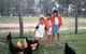 Minmore Farmstay Bed And Breakfast - thumb 1