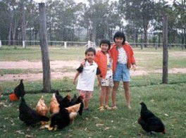 Minmore Farmstay Bed And Breakfast - Great Ocean Road Tourism 1