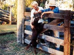 Minmore Farmstay Bed And Breakfast - Great Ocean Road Tourism 2