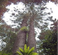 Moorlands Country Retreat - Great Ocean Road Tourism