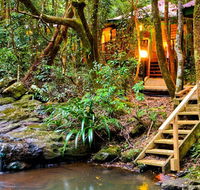 The Mouses House - Rainforest Retreat - Great Ocean Road Tourism