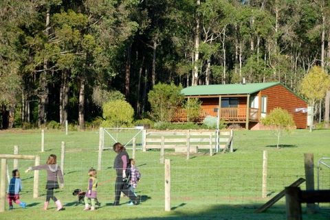 Diamond Forest Farm Stay - Great Ocean Road Tourism 0