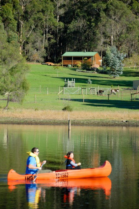 Diamond Forest Farm Stay - Great Ocean Road Tourism 2