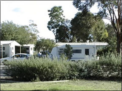 Banksia Tourist Park - Great Ocean Road Tourism 3